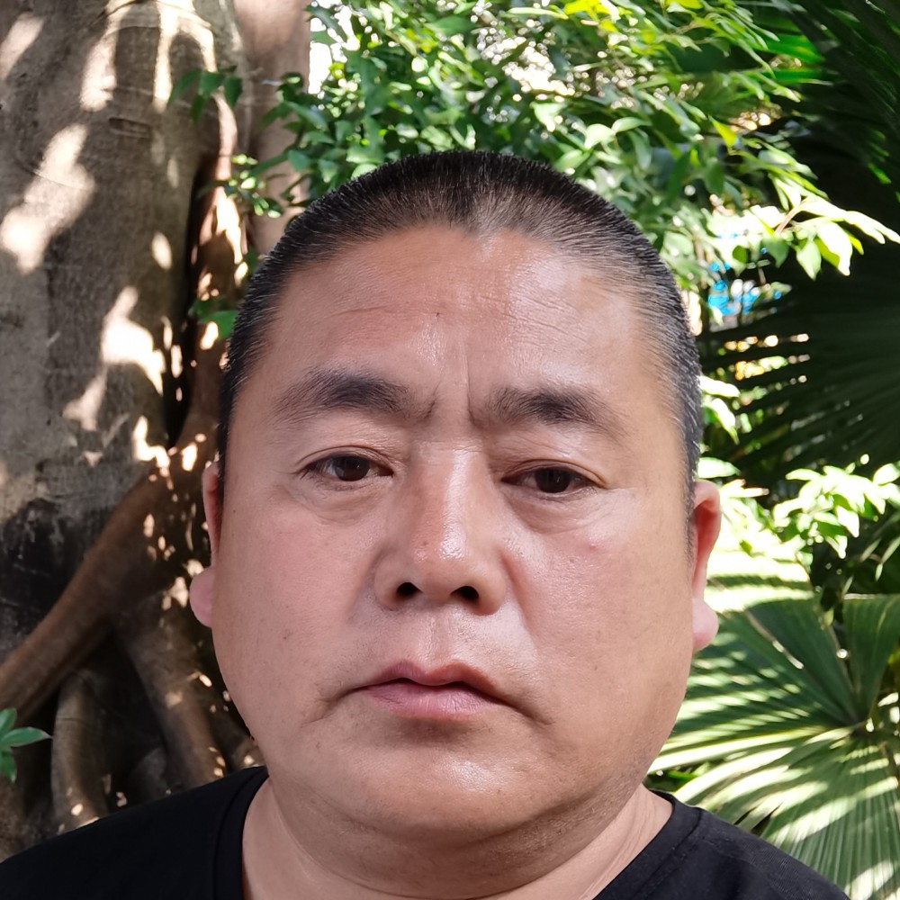 冷风爱恋柔弱的照片