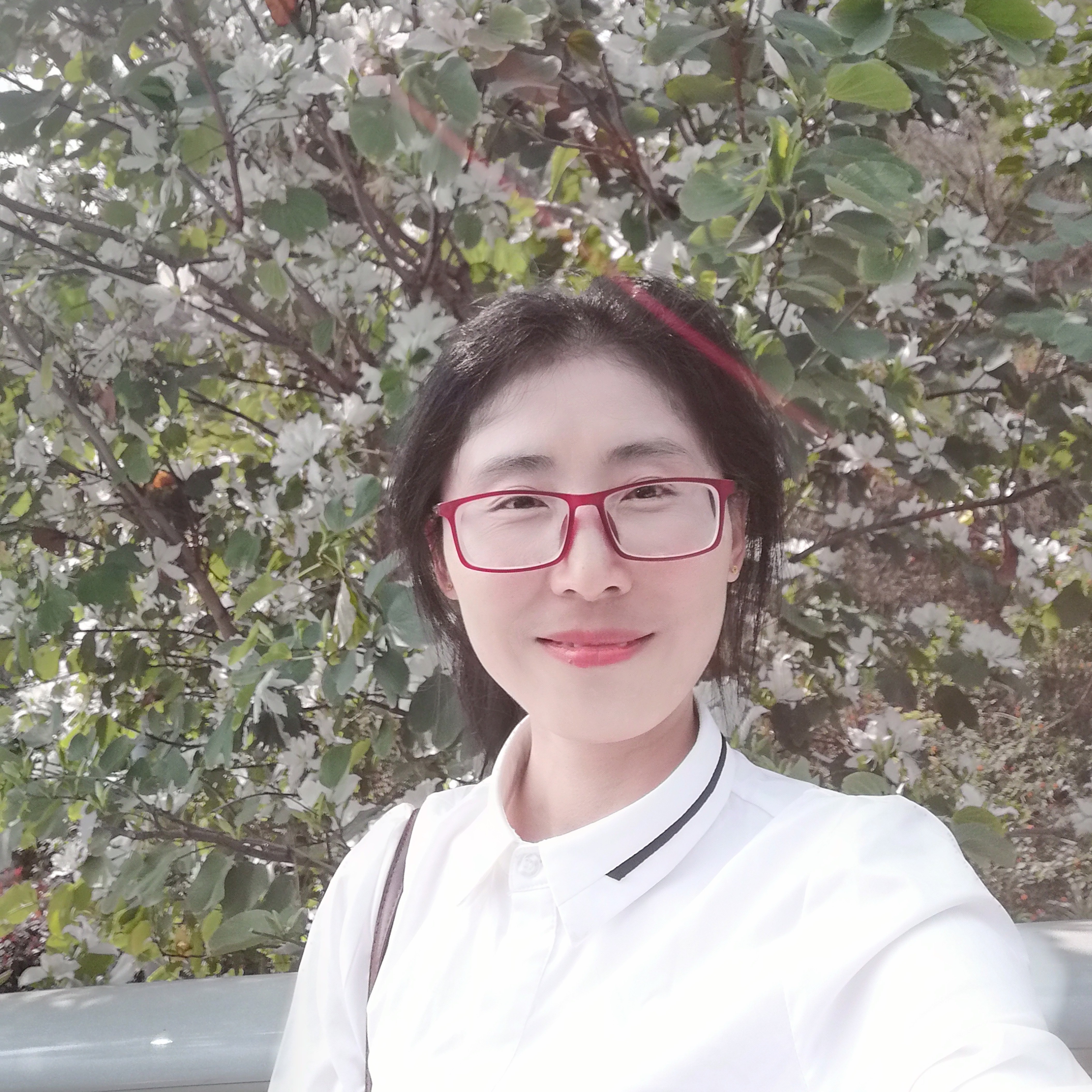 永不认输6的照片