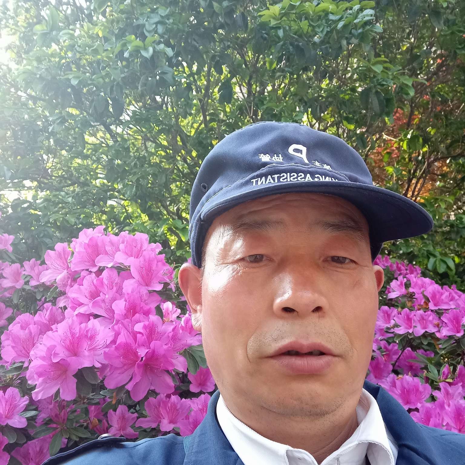 肆无忌惮的照片