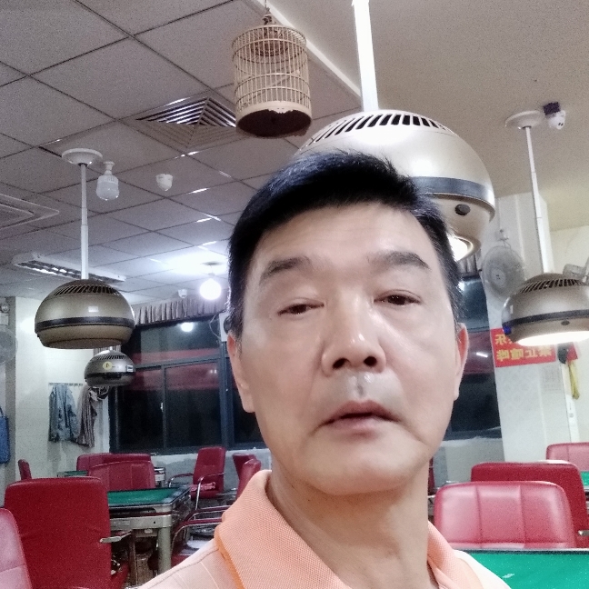 金鱼专一的照片