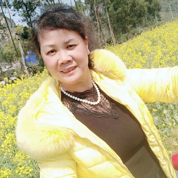 无花卉的照片