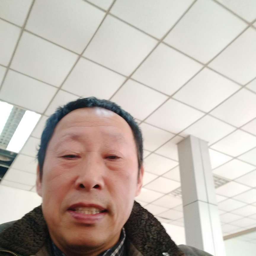 红玫瑰漫步魔幻的照片