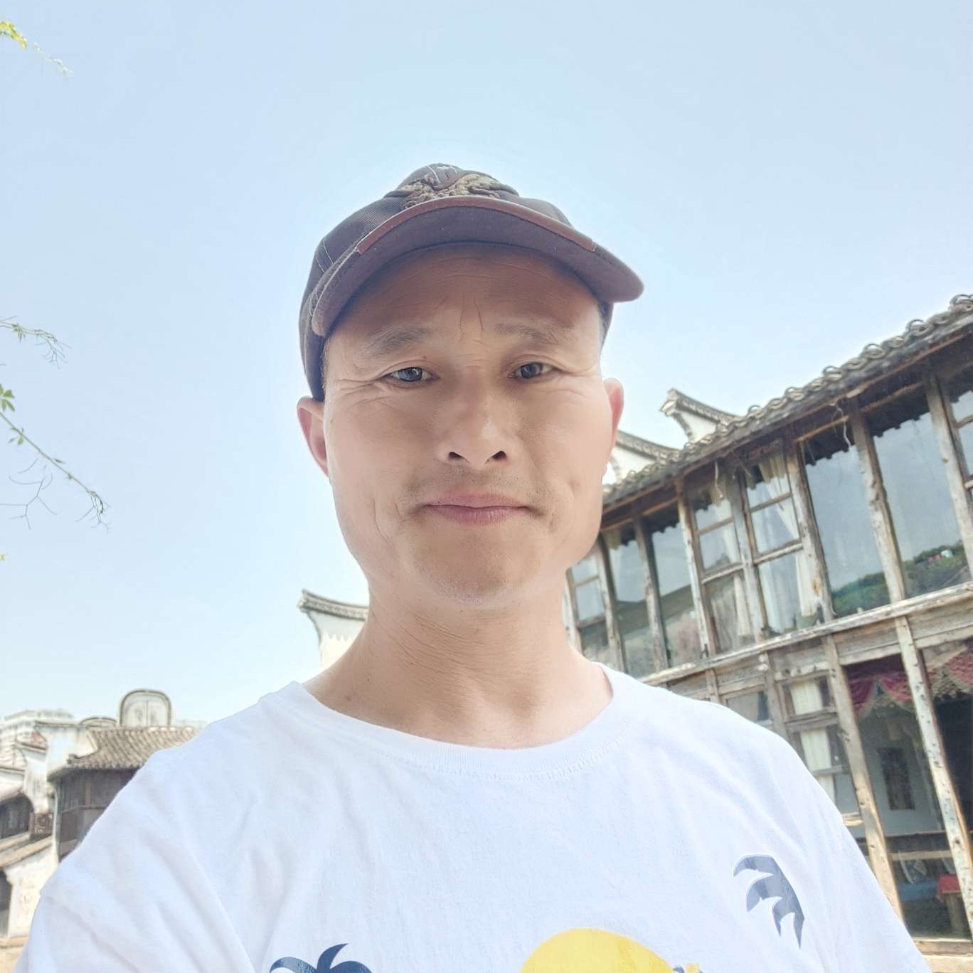 顺心和蜜蜂的照片