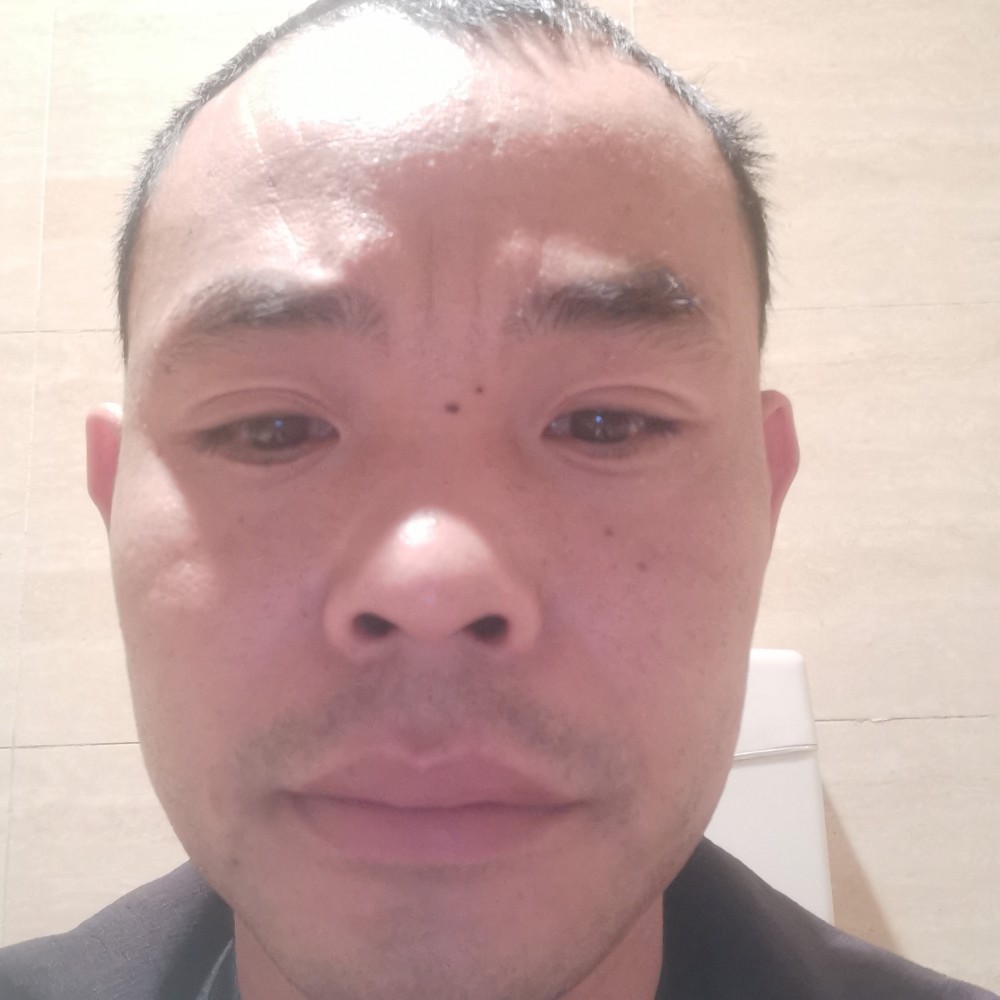 红玫瑰高大的照片