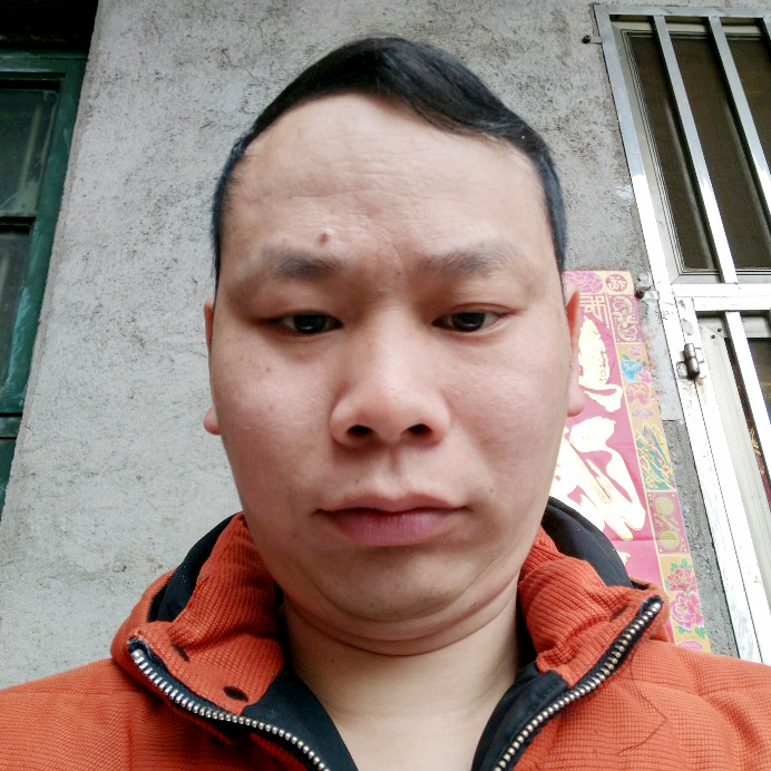 狗落寞的照片