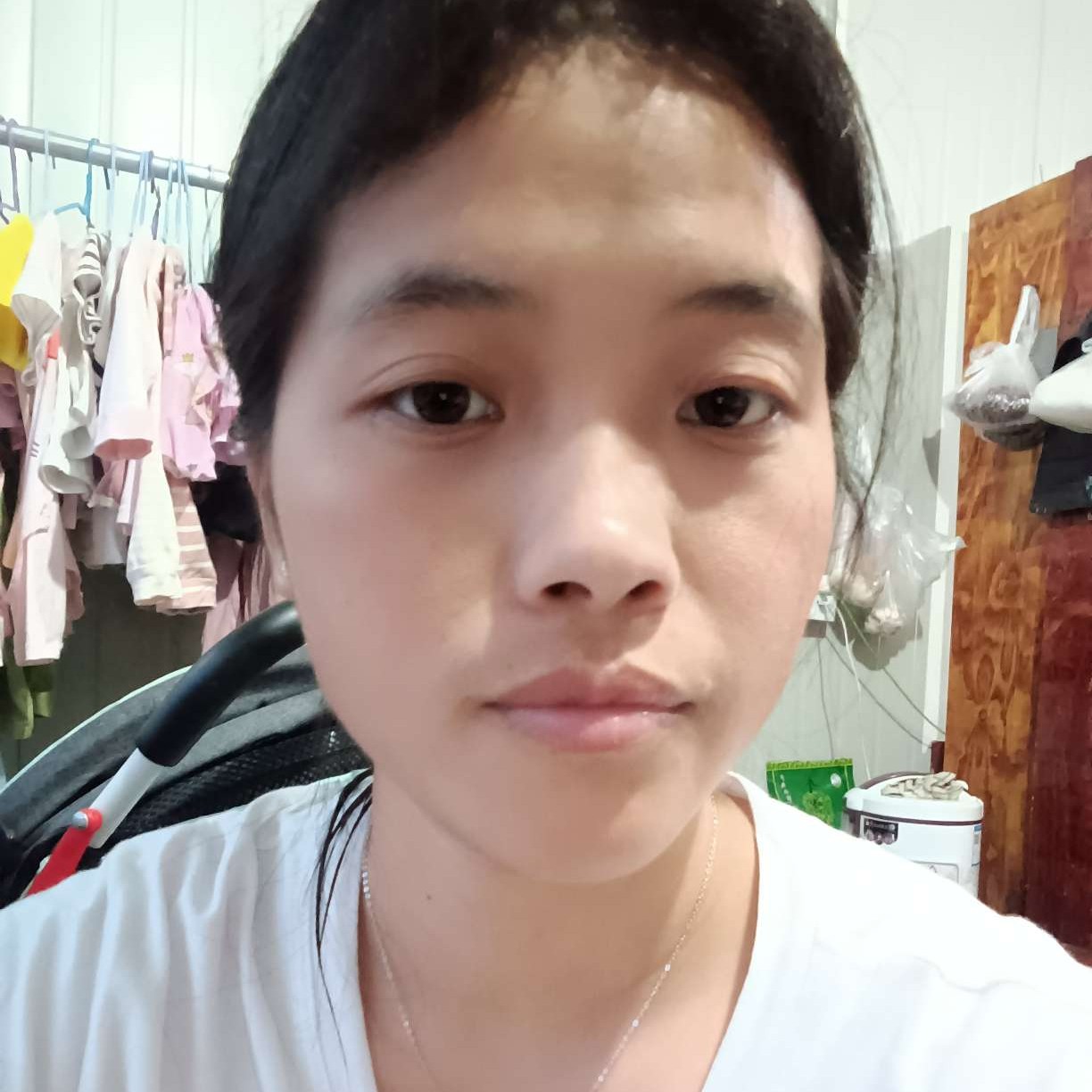 小蜜蜂吃醋鲤鱼的照片