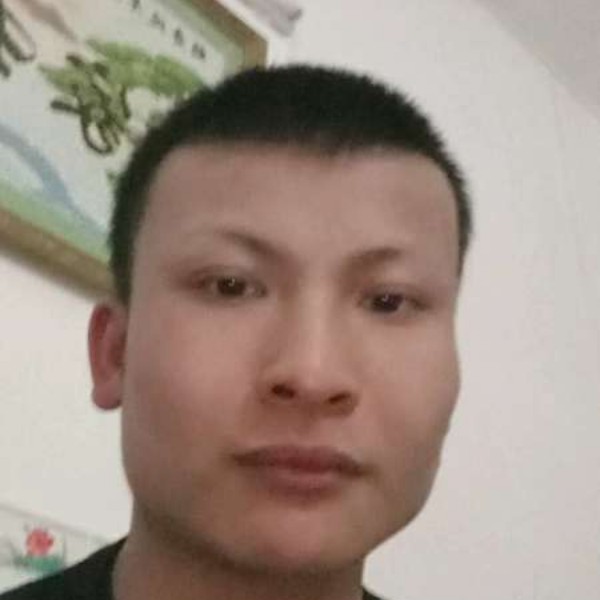 钢笔大气1314的照片