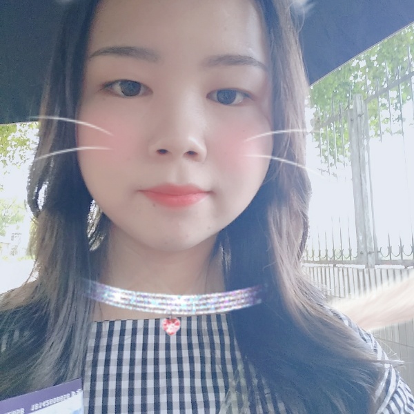 高高小海豚的照片