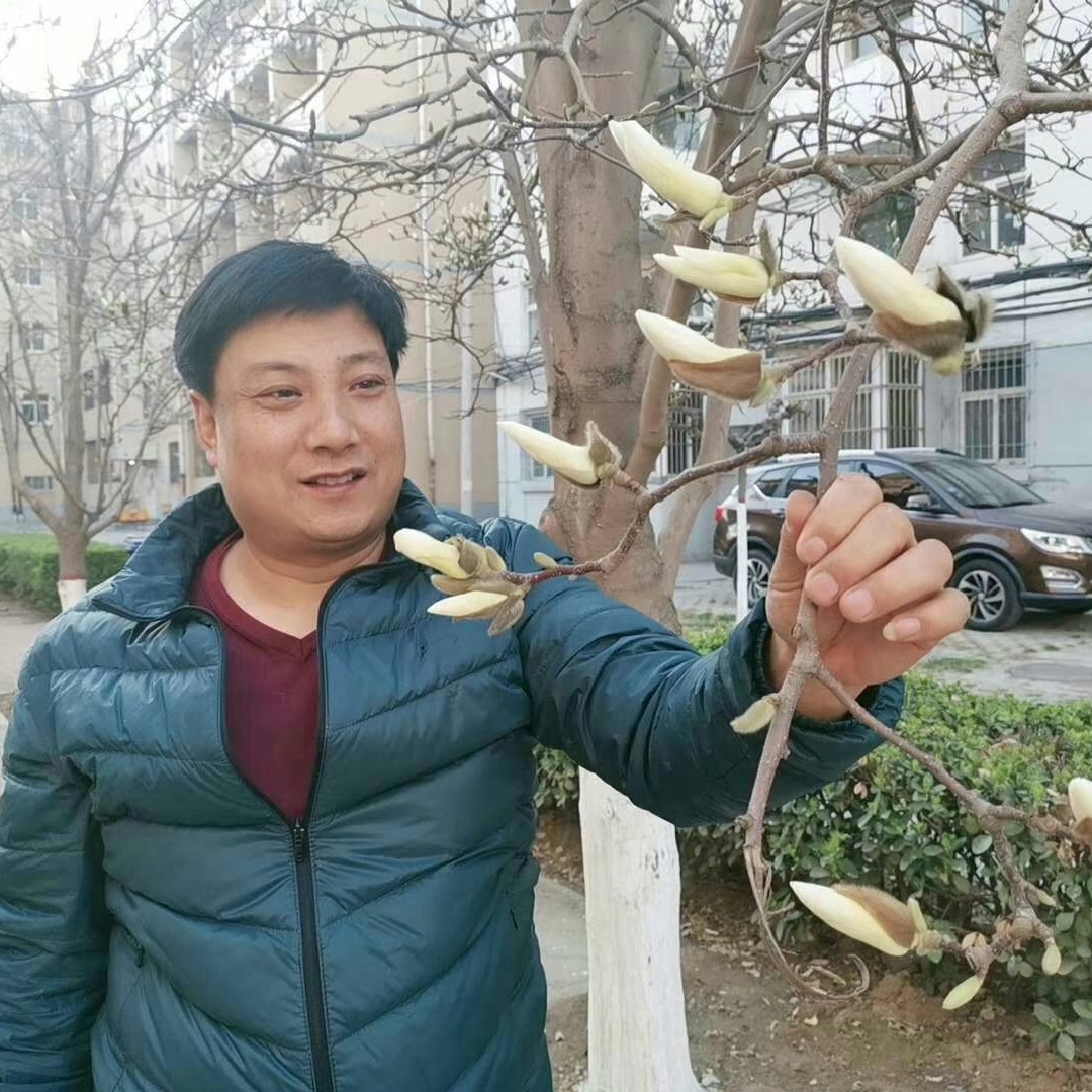 妩媚回眸飞鸟的照片