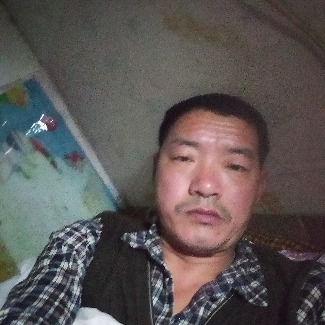 绿茶透彻的照片