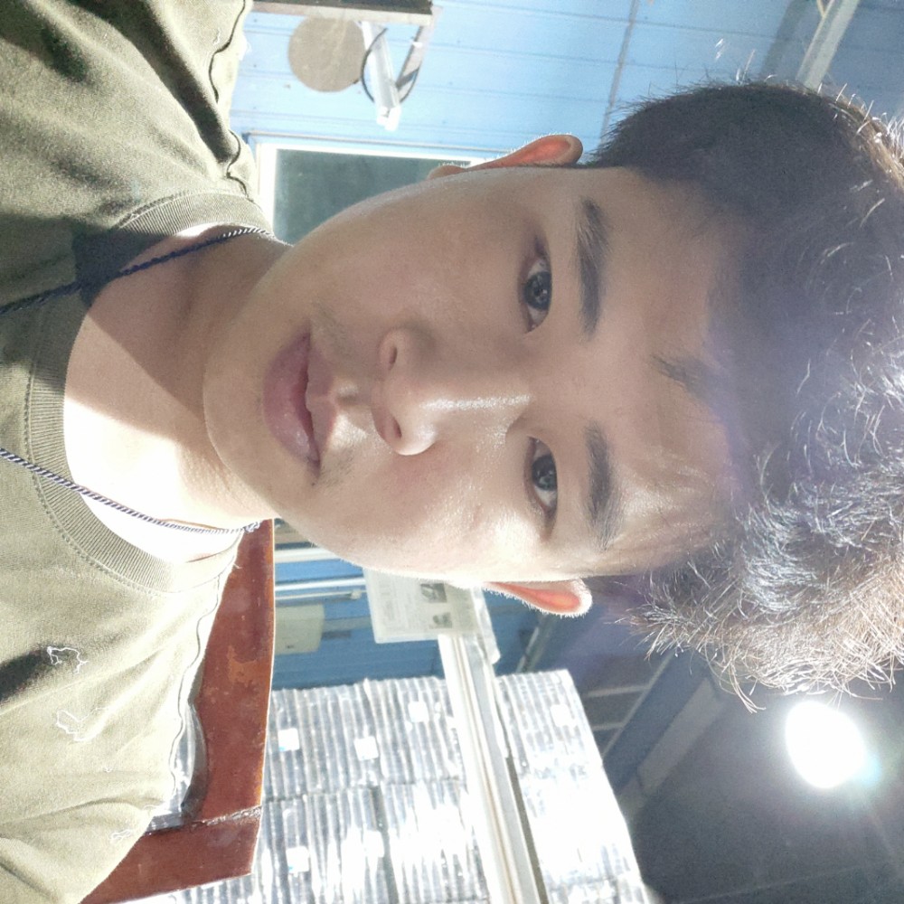 芹菜活力的照片