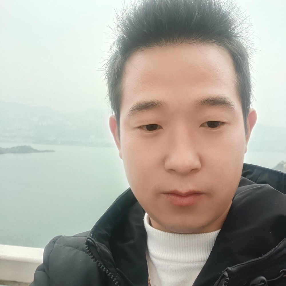 月饼活力的照片