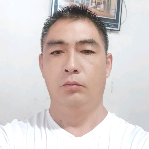 阳光凝眸大树的照片