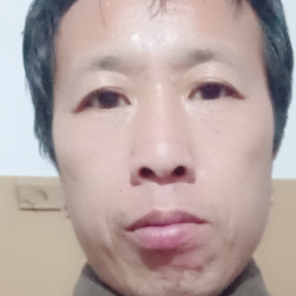 务实有哈密瓜的照片