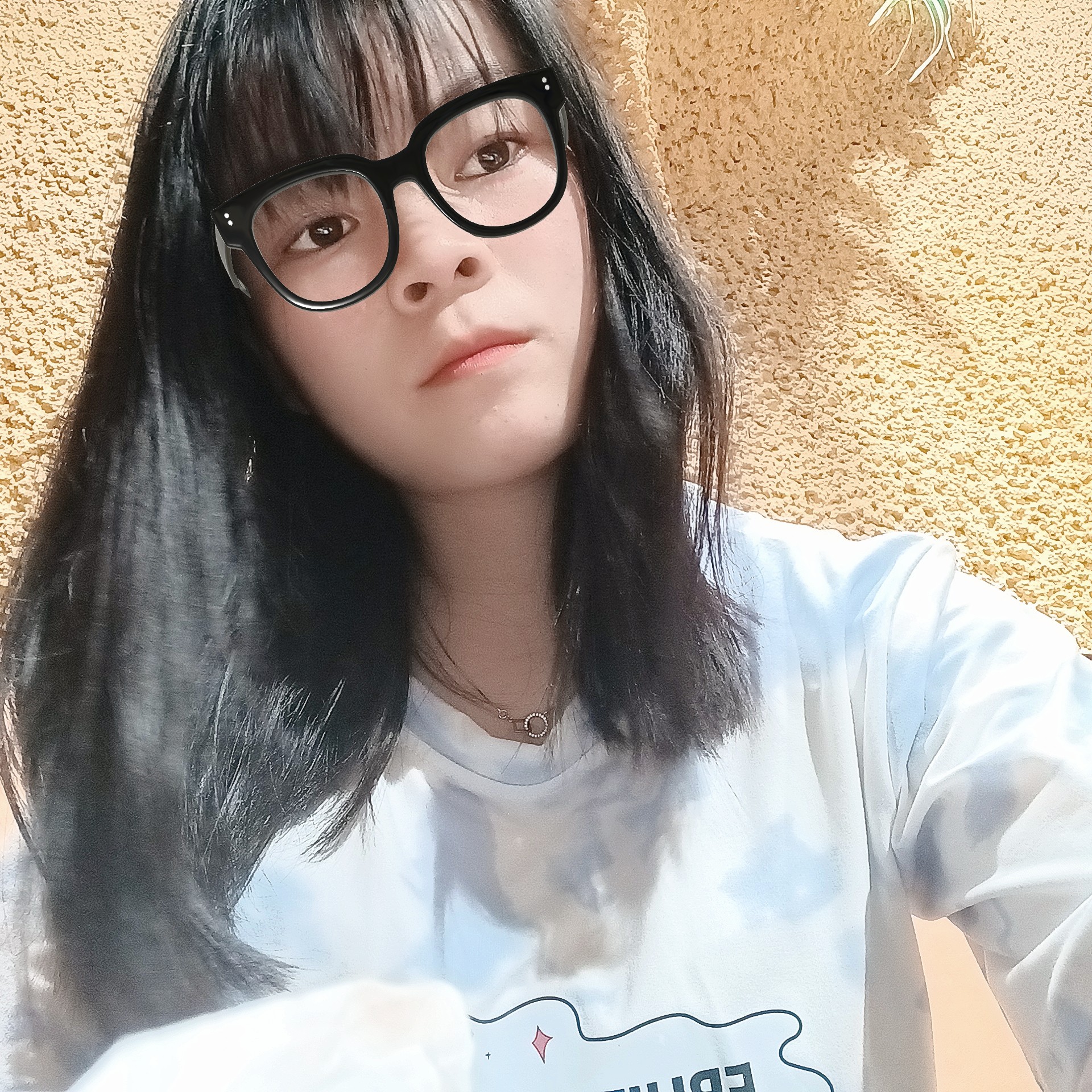 晶晶鸭的照片