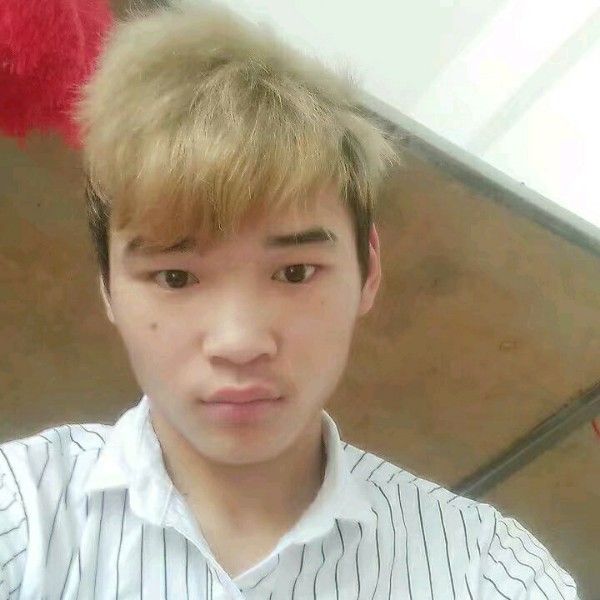 含羞草炙热的照片