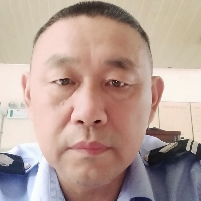 斑马放弃亲爱的的照片