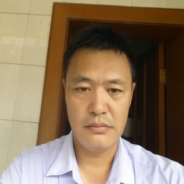 林间透过的阳光的照片
