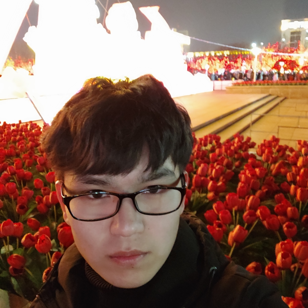 孤独的青青草的照片