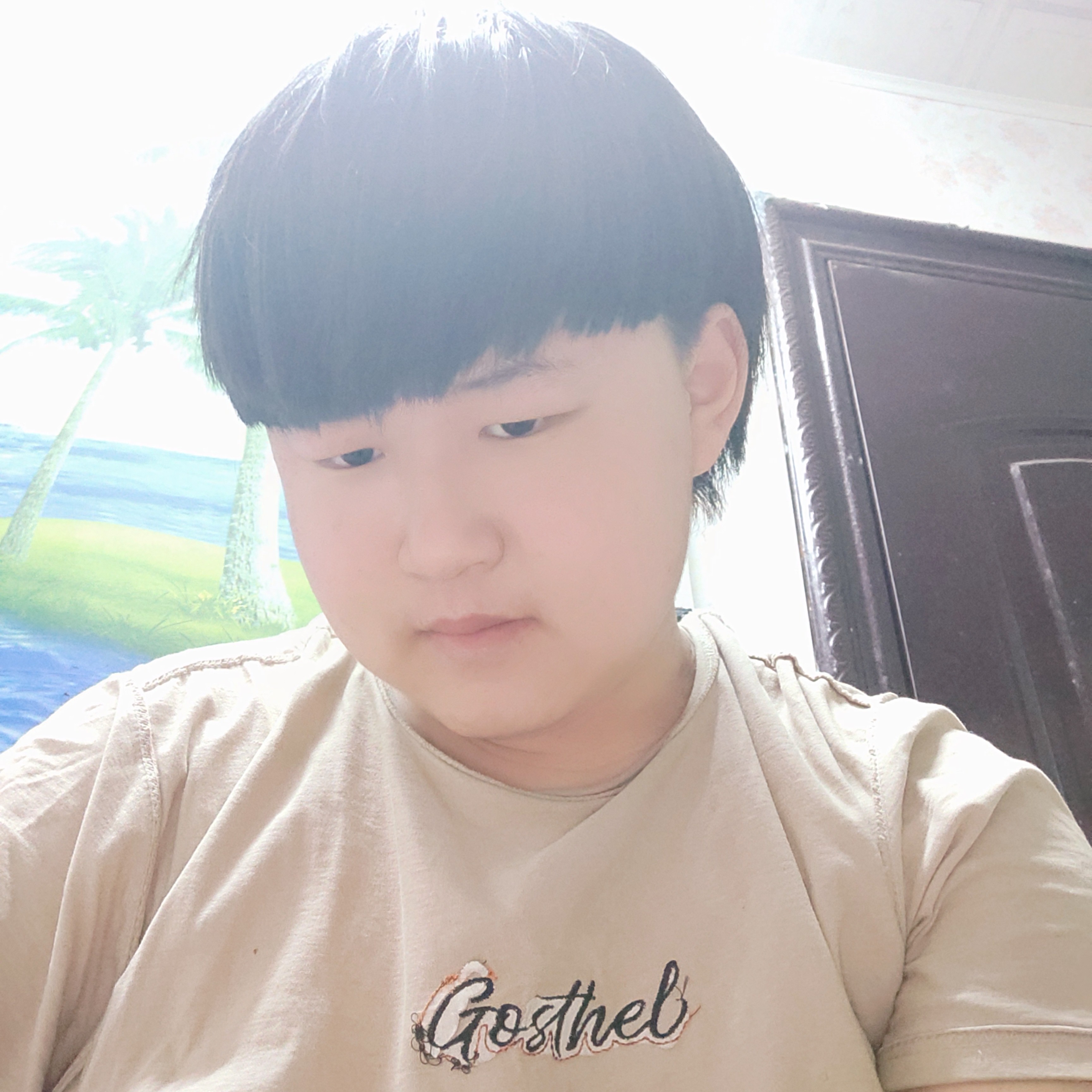 光亮停止书包的照片