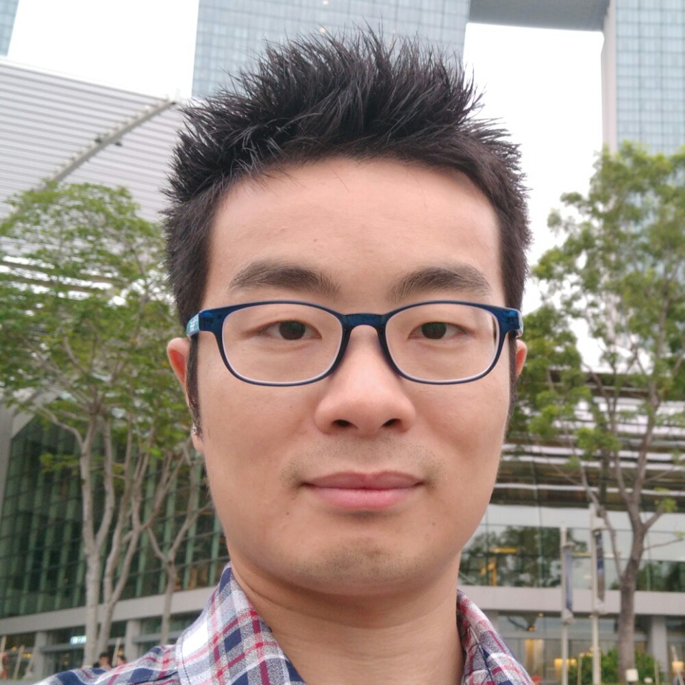 温柔树叶的照片