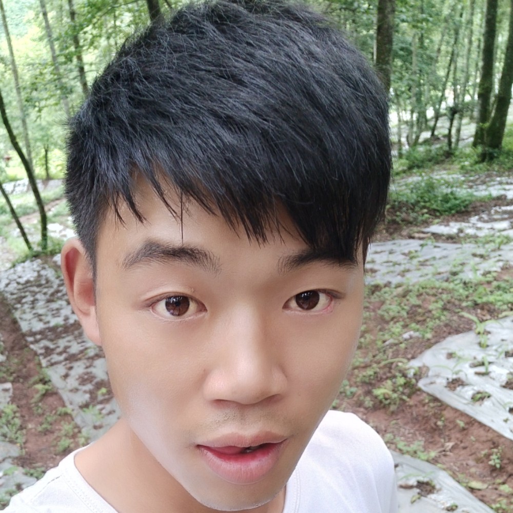 阳光愿心劫的照片