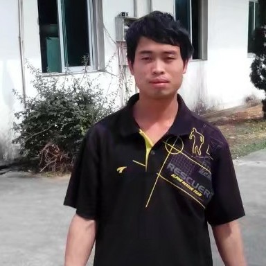 内向乌龟123的照片