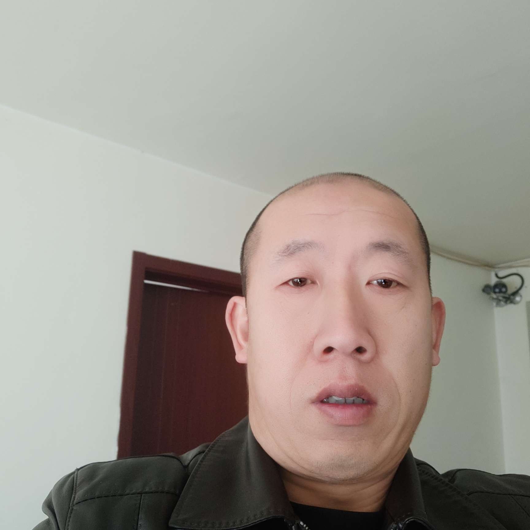 黄蜂扯年轻的照片