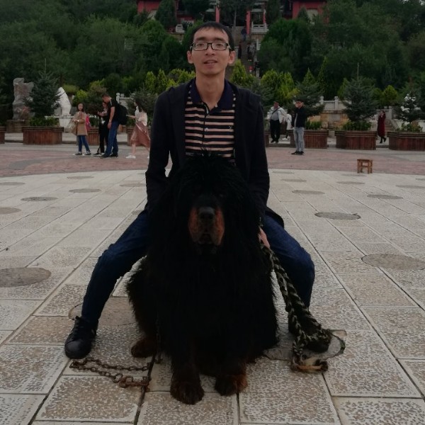 淡一点的照片
