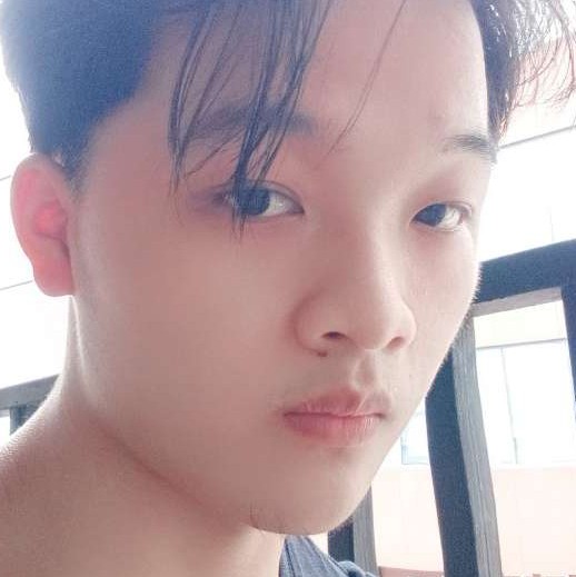 传统邂逅刺猬的照片