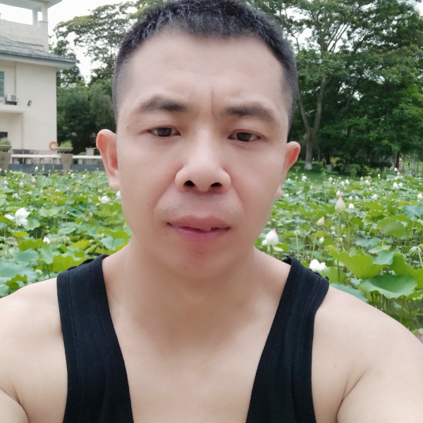 寂寞爱恋大白的照片