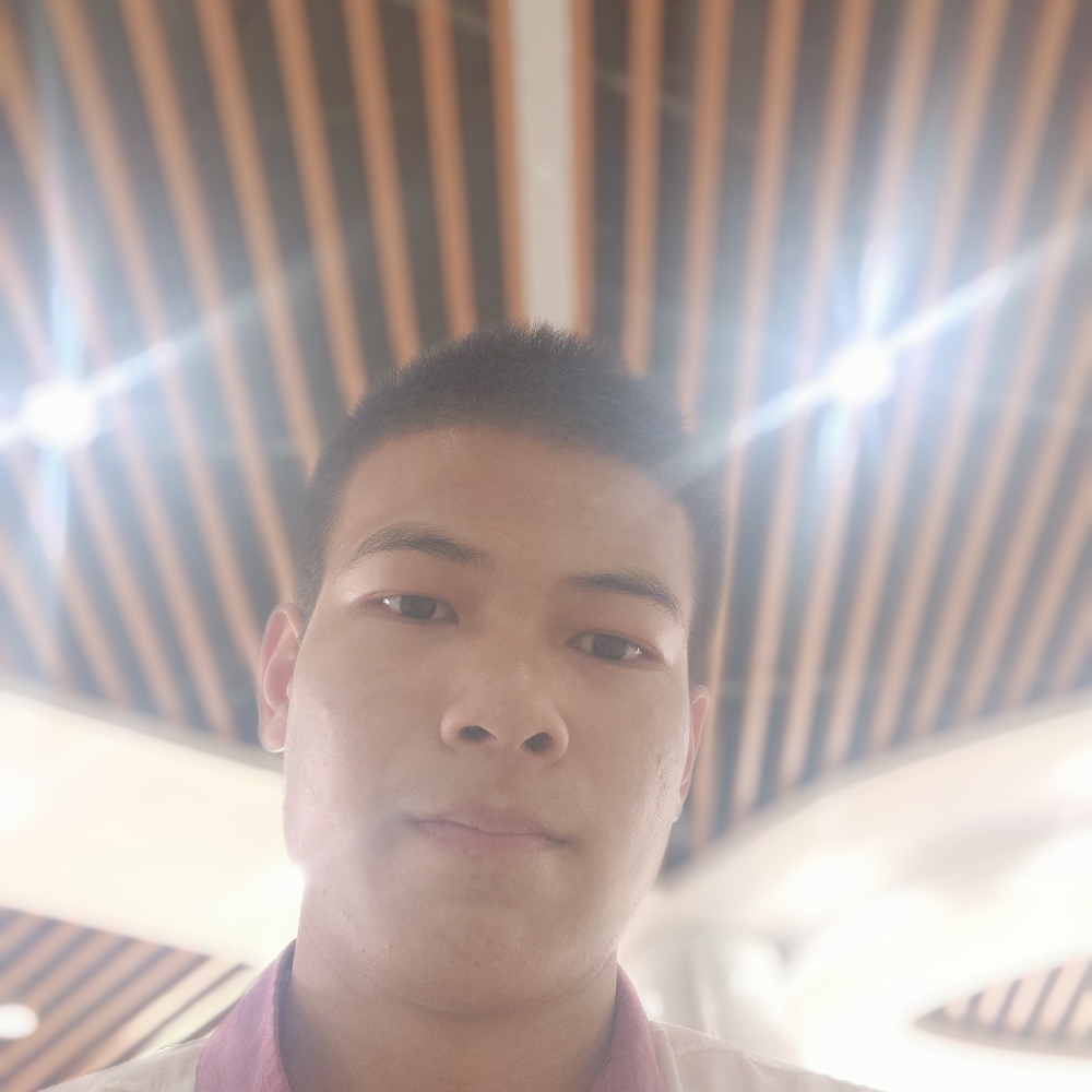蚂蚁贤惠的照片