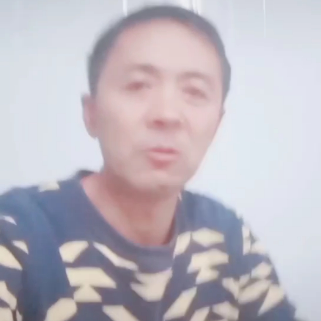 奇异果多么冷静的照片