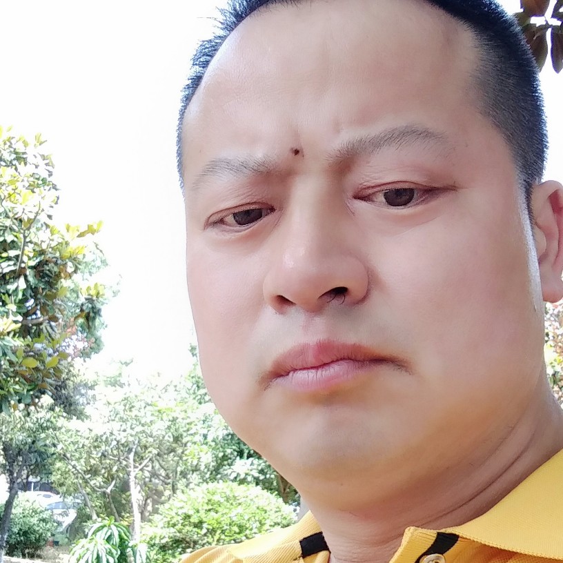 玫瑰吃醋沉静的照片