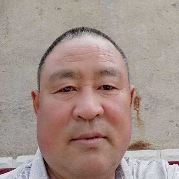 帅气相许大象的照片