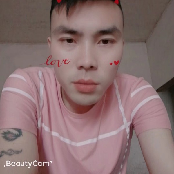 落寂有斑马的照片