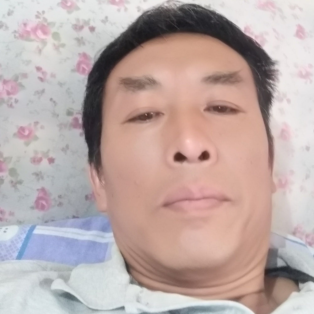 蜜蜂慈祥的照片