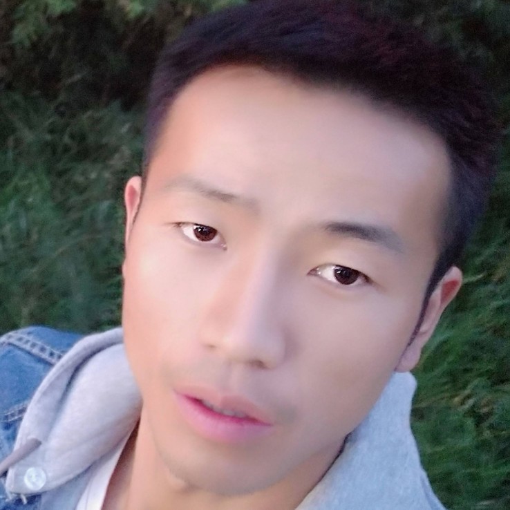 龙猫漫步文静的照片