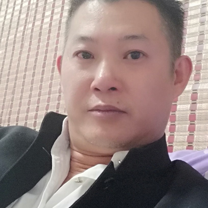 耍酷小天鹅的照片