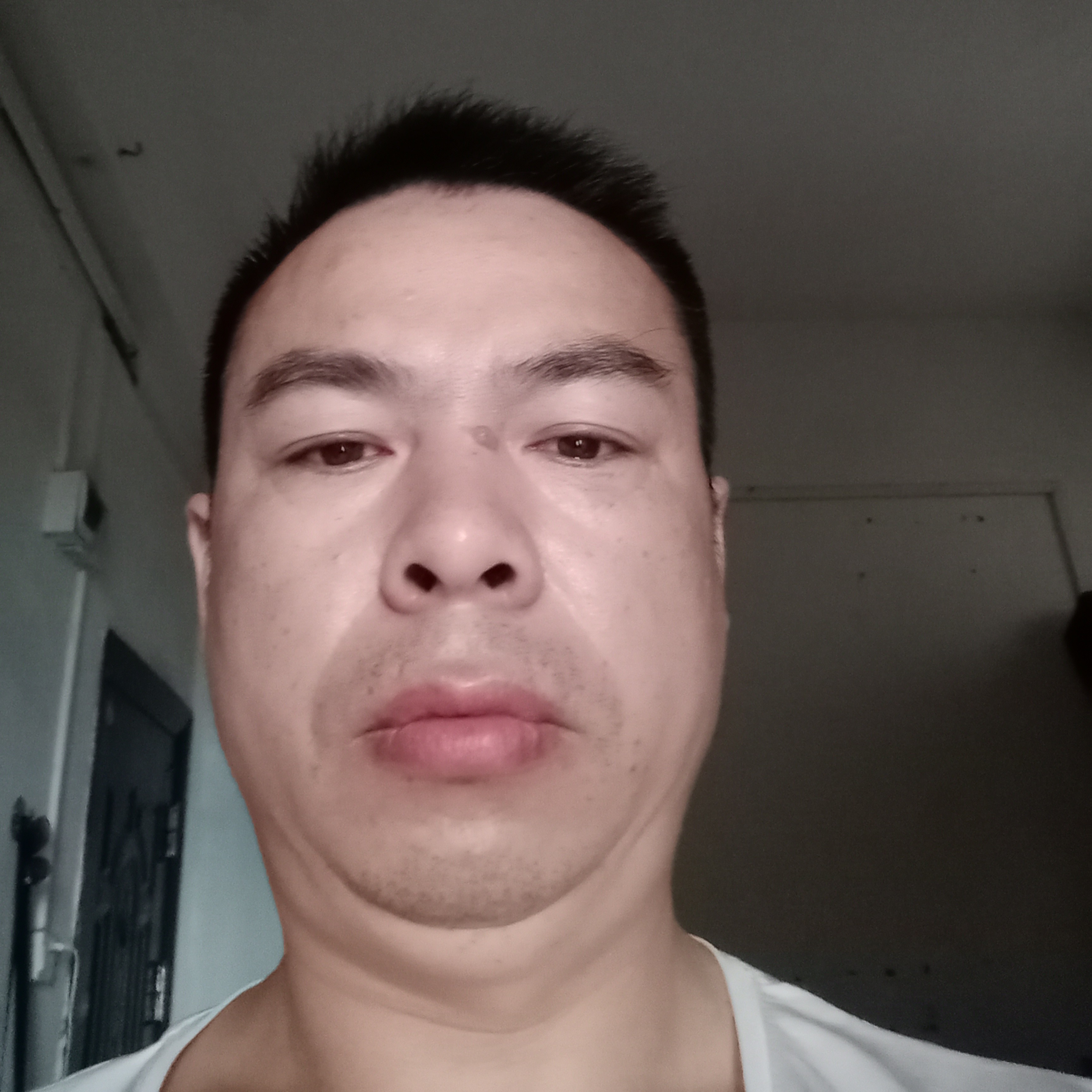 早晨默默的照片