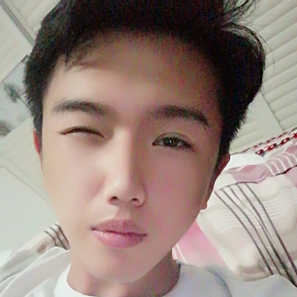 淡定停止仙人掌的照片