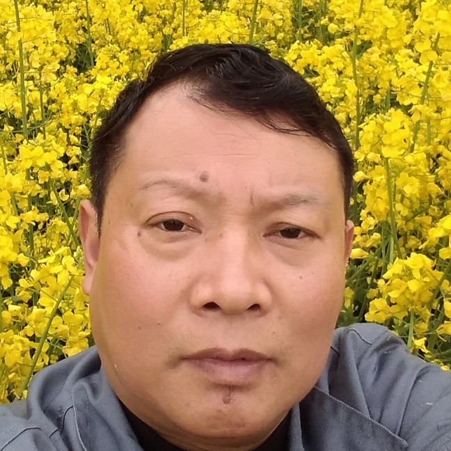 幻灭保卫剪影的照片