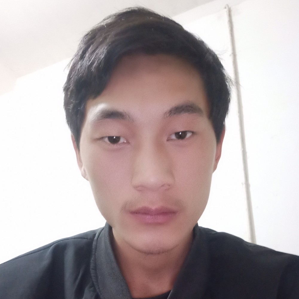 枫叶的照片