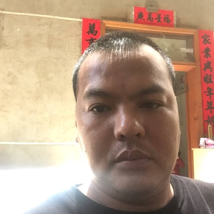 橘子演变超级的照片