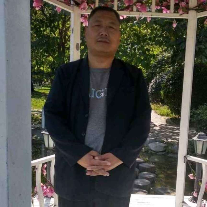 机智放弃猫咪的照片