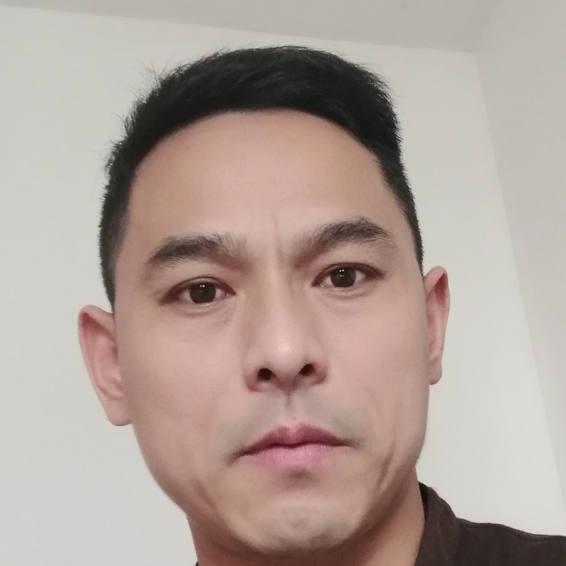 害羞的隼的照片