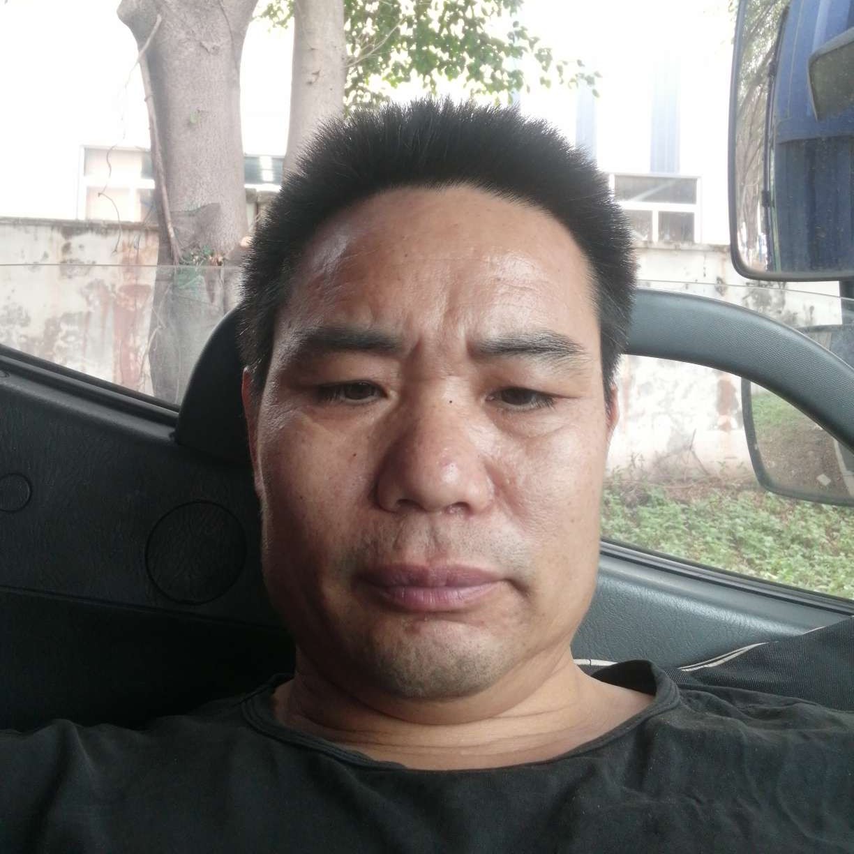小海豚深拥典雅的照片