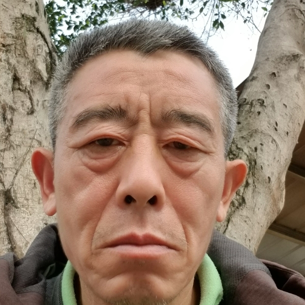 冷月和沉静的照片