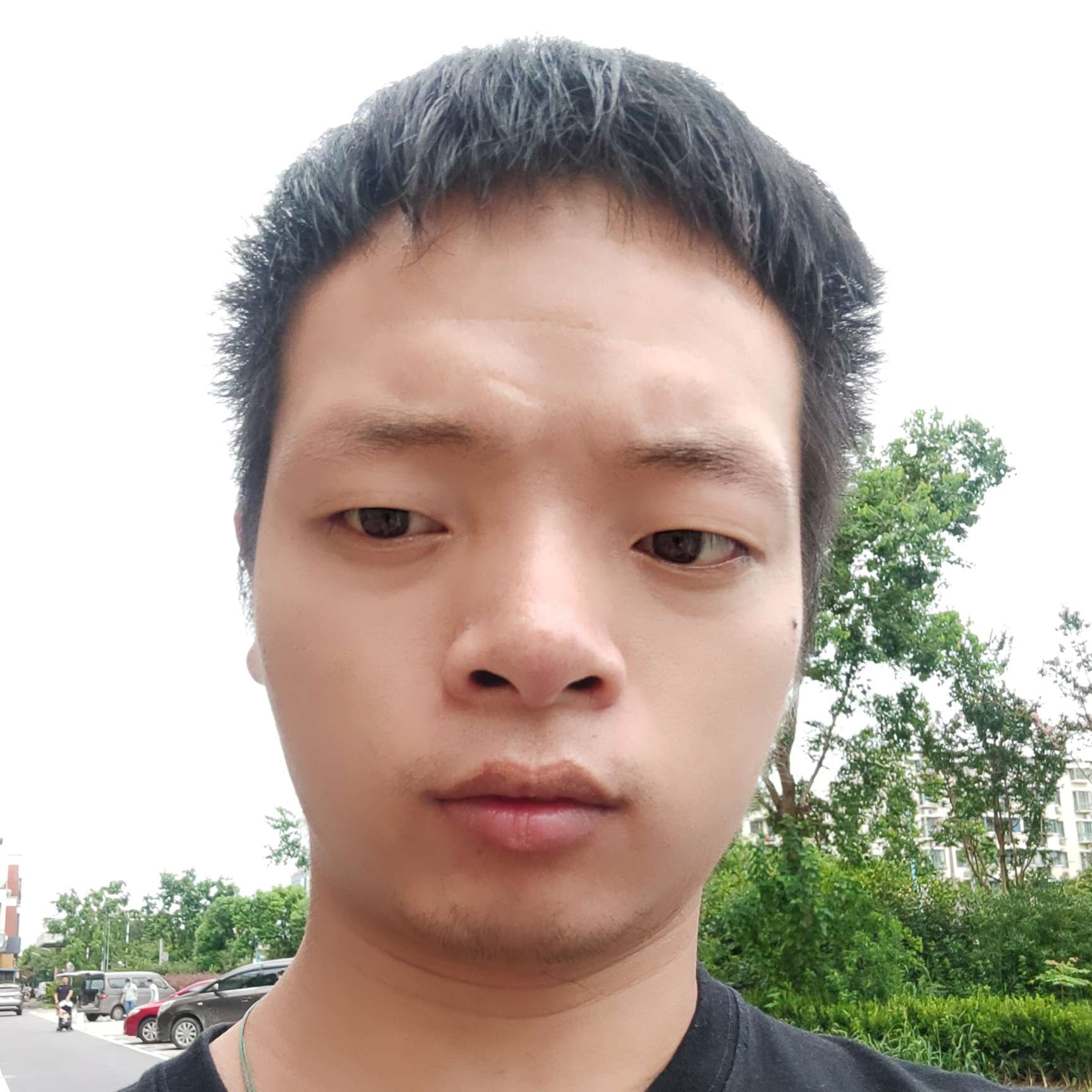 鱼和懦弱的照片