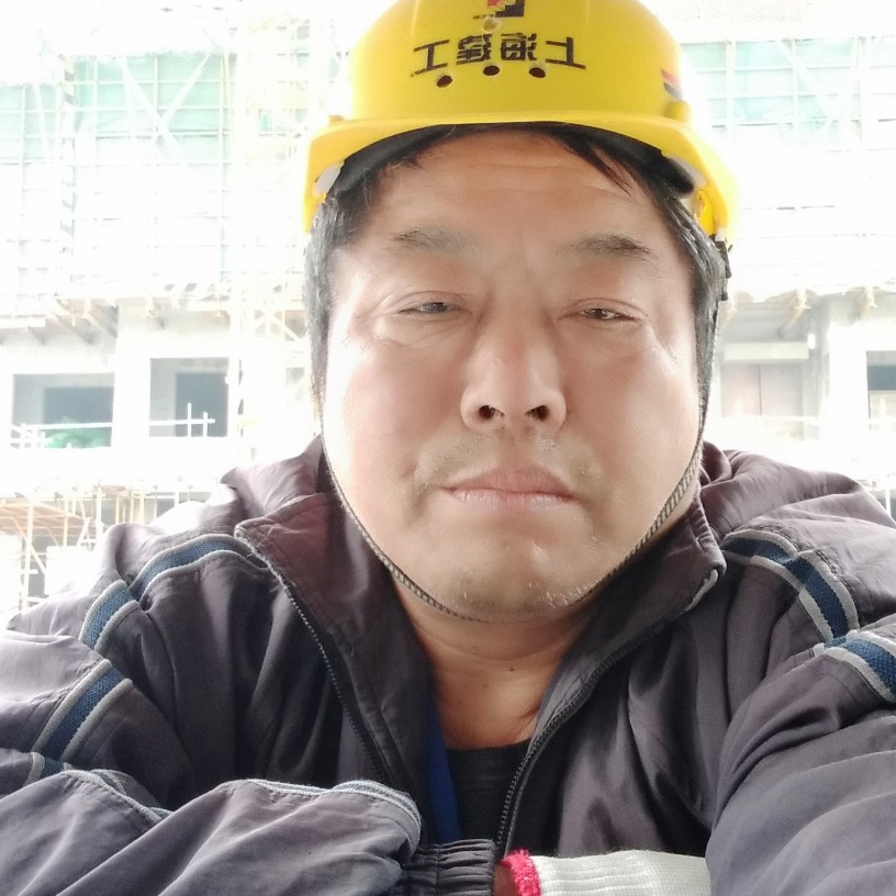 水塔猫的照片